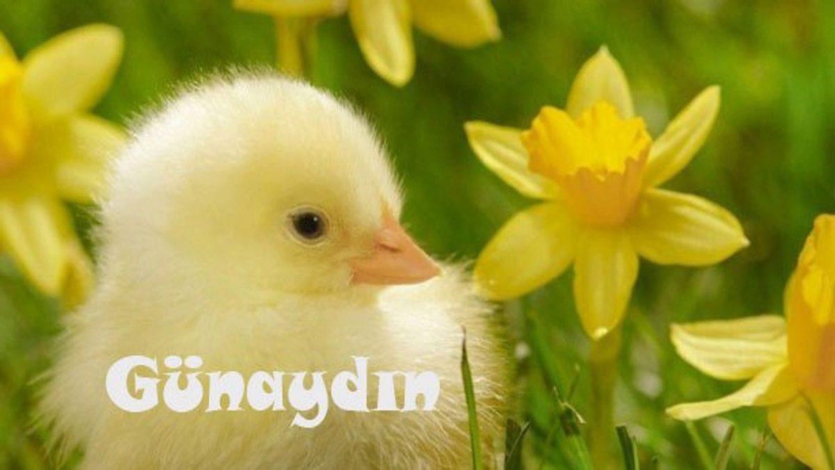 Sosyal Medya Uygulamalarına Gelmesi Durumunda Kaos Çıkartacak 10 Özellik