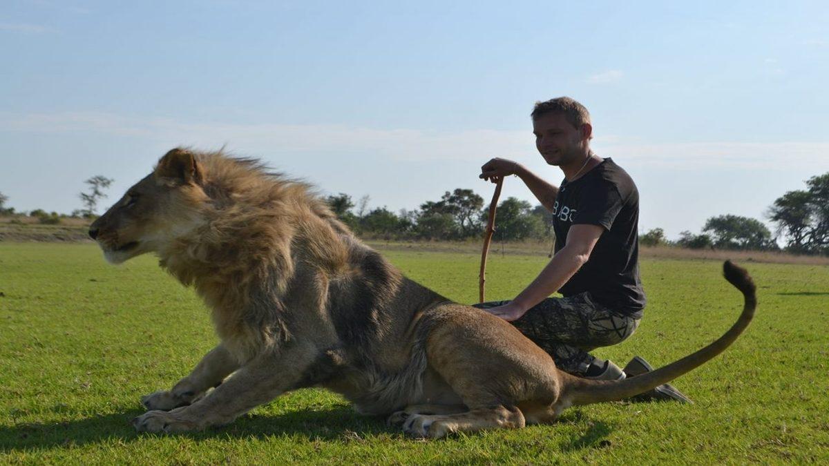Hayvanların Öğrenme Kabiliyetini, Davranışlarını ve Nedenlerini İnceleyen Bilim Dalı: Etoloji Nedir?