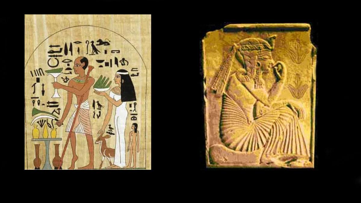 Binlerce Yıldır İnsanlığın Şifa Kaynaklarından Olan ’Aloe Vera’ Bitkisi Hakkında 8 İlginç Bilgi