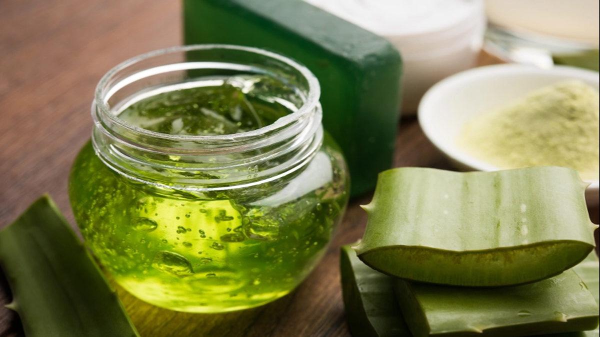 Binlerce Yıldır İnsanlığın Şifa Kaynaklarından Olan ’Aloe Vera’ Bitkisi Hakkında 8 İlginç Bilgi