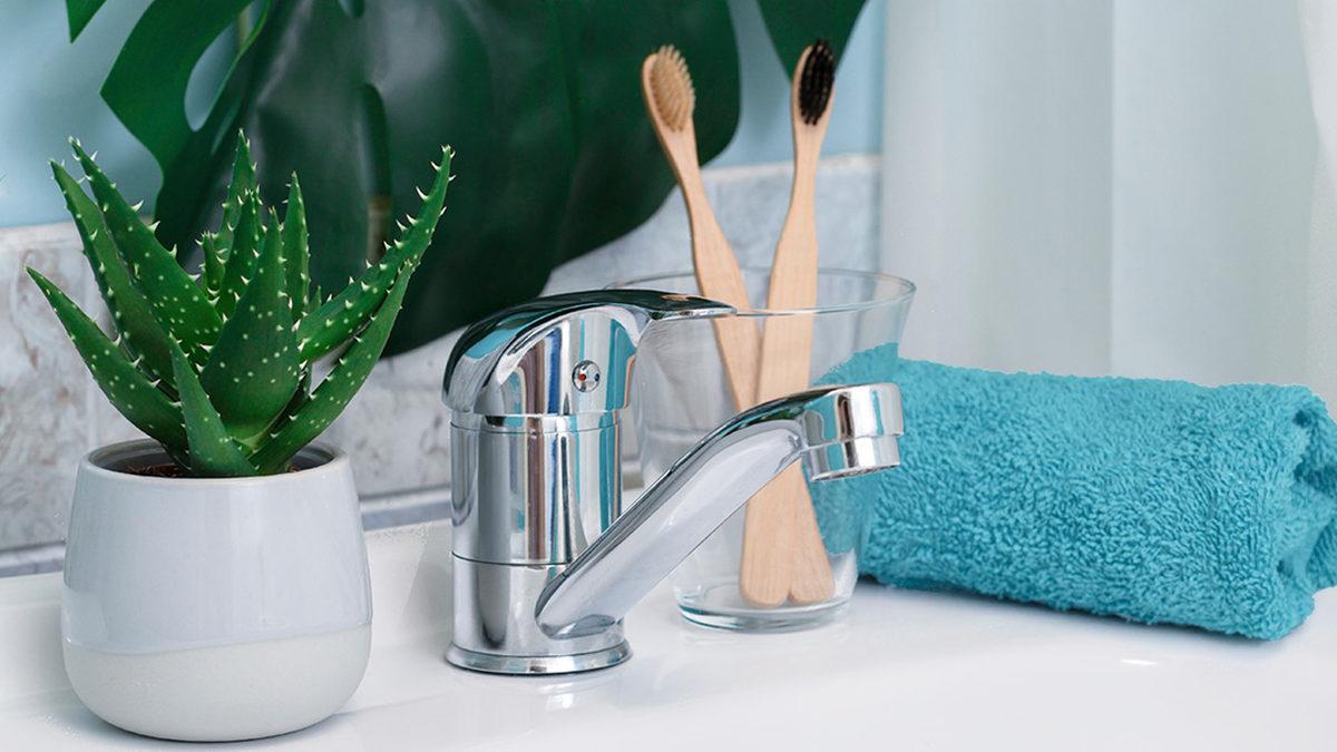 Binlerce Yıldır İnsanlığın Şifa Kaynaklarından Olan ’Aloe Vera’ Bitkisi Hakkında 8 İlginç Bilgi