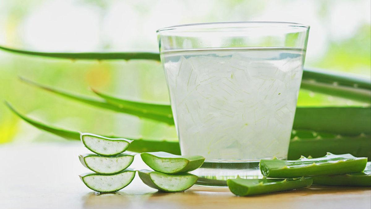 Binlerce Yıldır İnsanlığın Şifa Kaynaklarından Olan ’Aloe Vera’ Bitkisi Hakkında 8 İlginç Bilgi