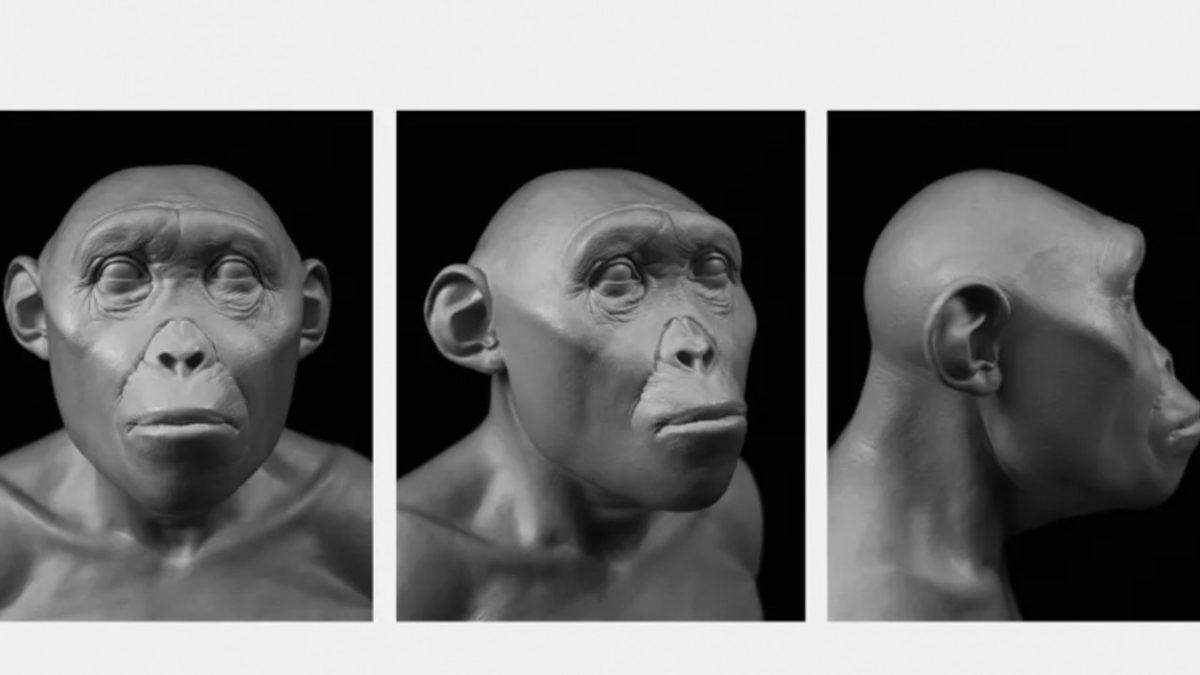 İnsanoğlunun Eski Atalarından Olan İki Kişinin Suratları Yeniden Canlandırıldı