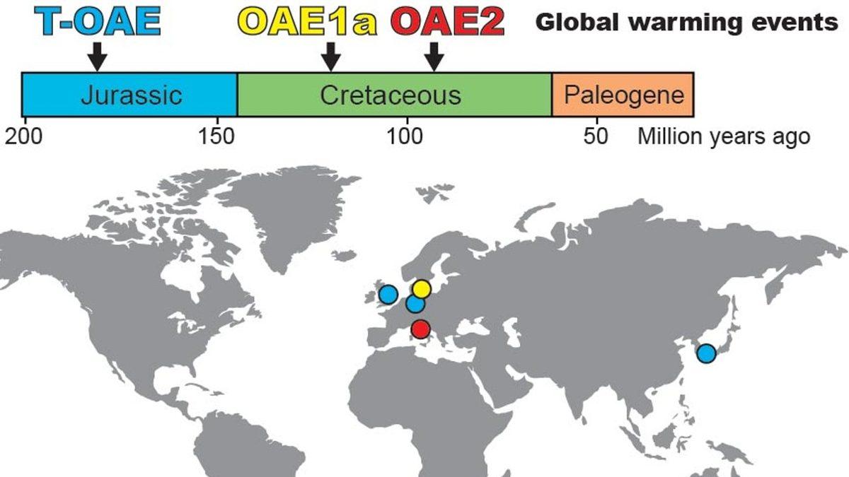 Bilim İnsanları, Tek Hücreli Canlıların ’Hayalet’ Fosillerini Keşfetti: Küresel Isınmaya Işık Tutabilir