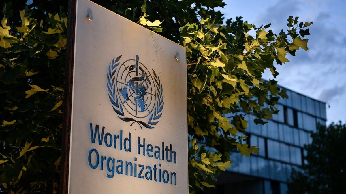 Dünya Sağlık Örgütü, Birçok Ülkede Görülen Maymun Çiçeği Virüsü İçin Acil Toplantı Yapacak