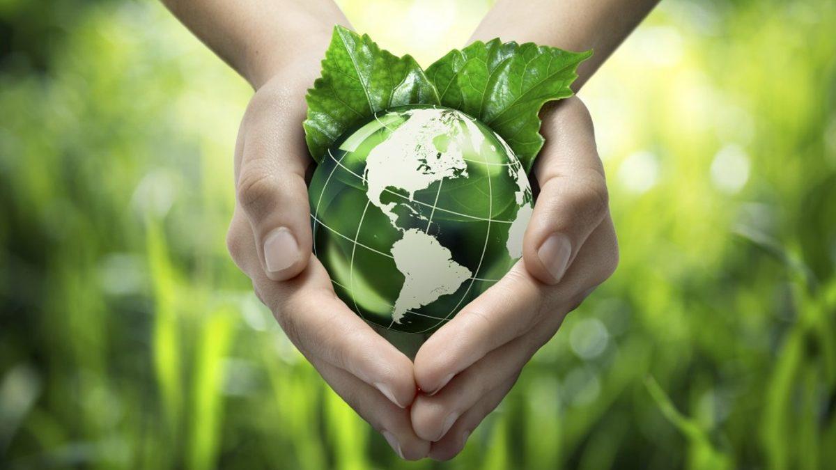 5 Haziran Haftası Artık ’Türkiye Çevre Haftası’ Olarak Kutlanacak: Çevre Farkındalığını Artırması Bekleniyor