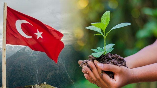 5 Haziran Haftası Artık ’Türkiye Çevre Haftası’ Olarak Kutlanacak: Çevre Farkındalığını Artırması Bekleniyor