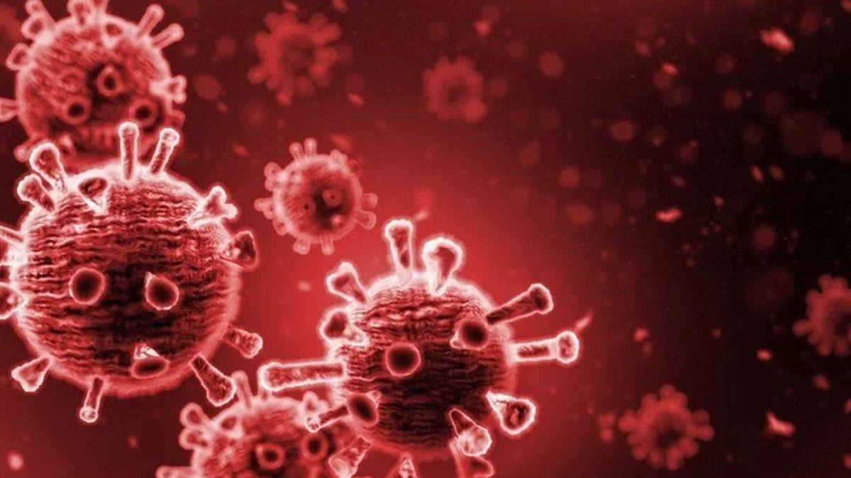 Dünya Sağlık Örgütü, Maymun Çiçeği Vakası Verilerini Paylaştı: 11 Ülkede 80 Onaylanmış Vaka Var!