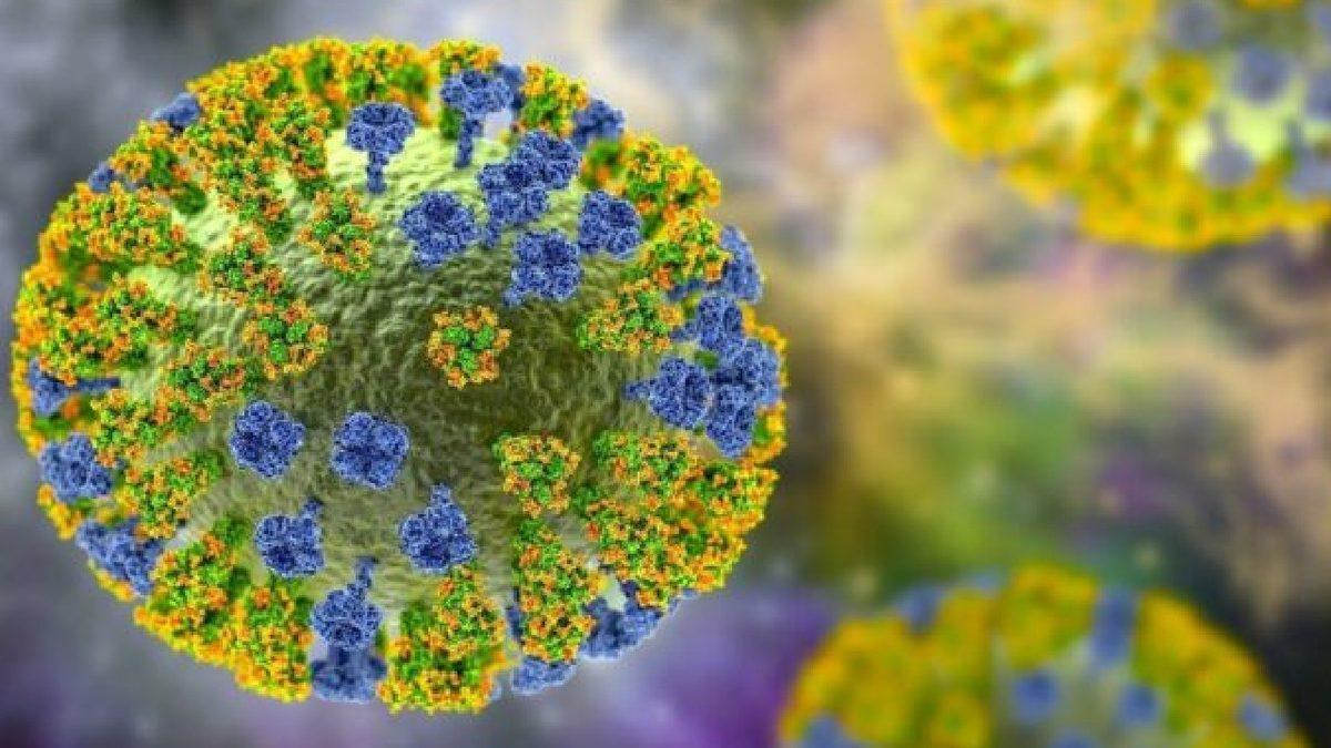 Fahrettin Koca’dan Maymun Çiçeğinin Pandemiye Dönüşme İhtimali Hakkında Açıklama