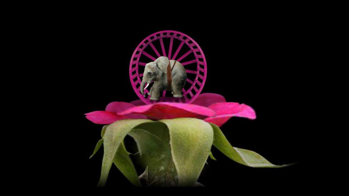 10 Yıl Önce Tarayıcılar İçin Çıkan Mitoza İsimli Oyun, iOS, Android ve PC İçin Yeniden Yayında