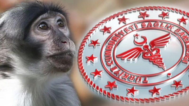 Fahrettin Koca’dan Maymun Çiçeğinin Pandemiye Dönüşme İhtimali Hakkında Açıklama