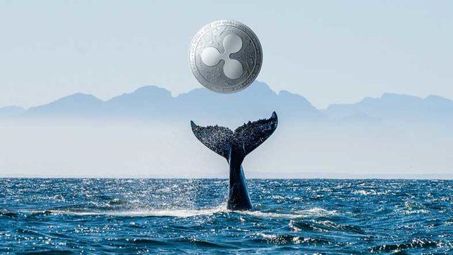 Türk Kripto Para Borsası Paribu Üzerinden Yapılan İlgi Çekici Ripple Transferi