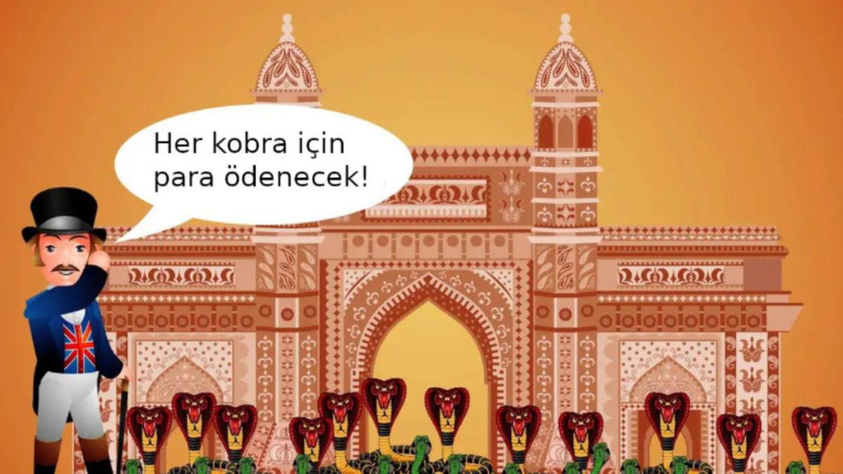 Başına Para Ödülü Konulan Kobra Yılanları, Koca Bir Ülkeyi Nasıl Küçük Düşürdü? İşte 100 Yıl Önce Yaşanan Olaylar