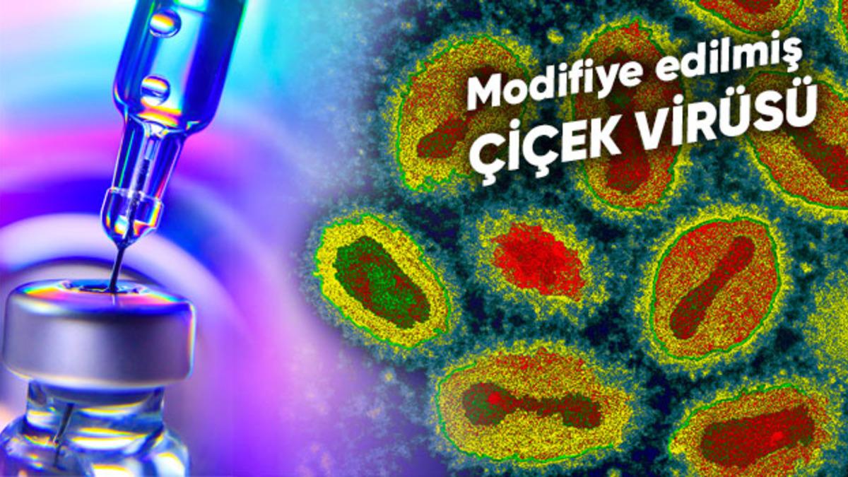Çiçek Virüslü Kanser Aşısı Tarihte İlk Kez İnsanlara Uygulandı
