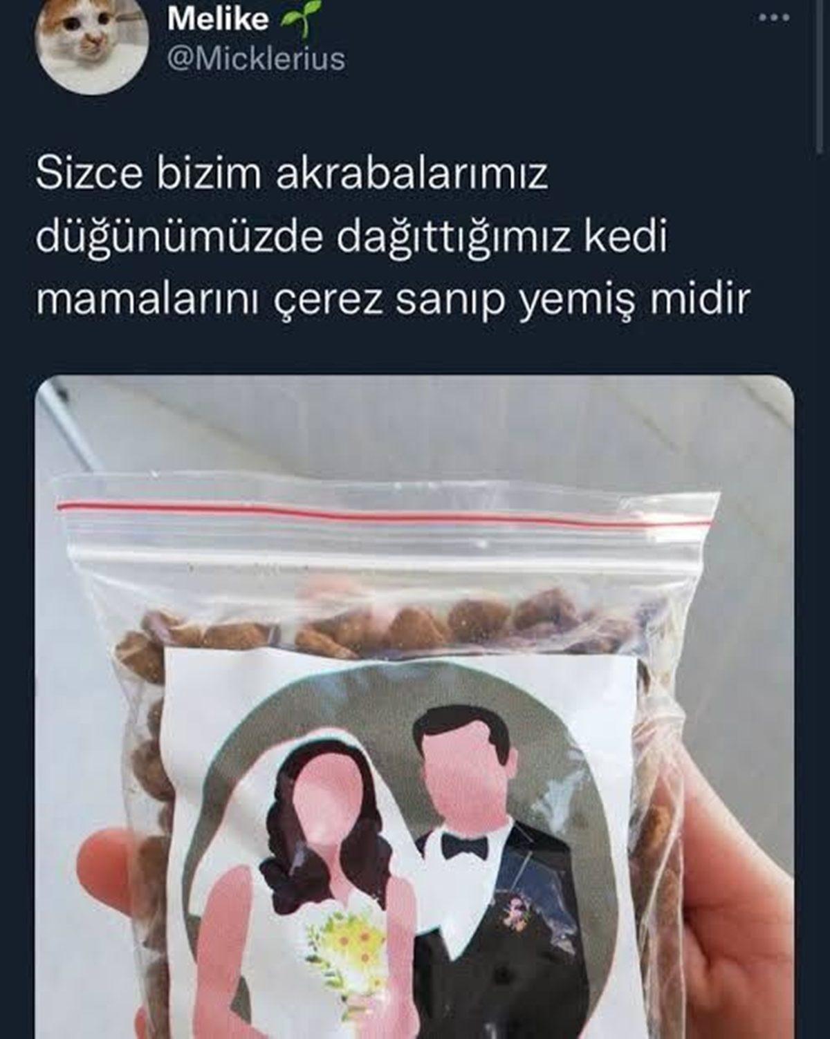 Kedi ya da Köpek Maması Yiyen Bir İnsana Ne Olur?