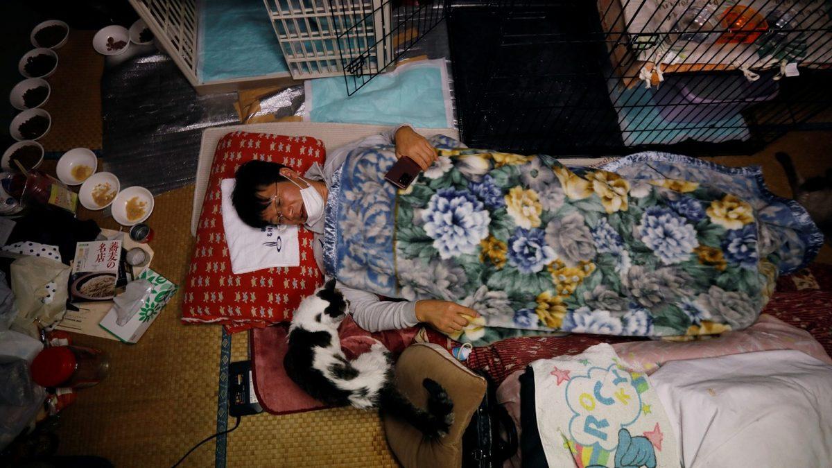 Nükleer Felaket Sonrası Kedileri Koruyan Adamla Tanışın: Sakae Kato