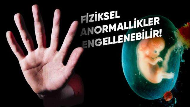 Engelli Bebek Doğumlarına ve Yetişkinlikte Kansere Neden Olabilecek Bir Gen Keşfedildi