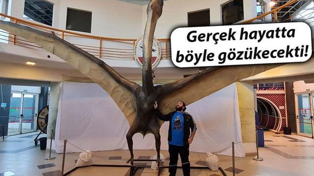 86 Milyon Yıl Önce Yaşamış "Ölüm Ejderhası" Keşfedildi: En Büyük Uçan Sürüngenlerden Biri!