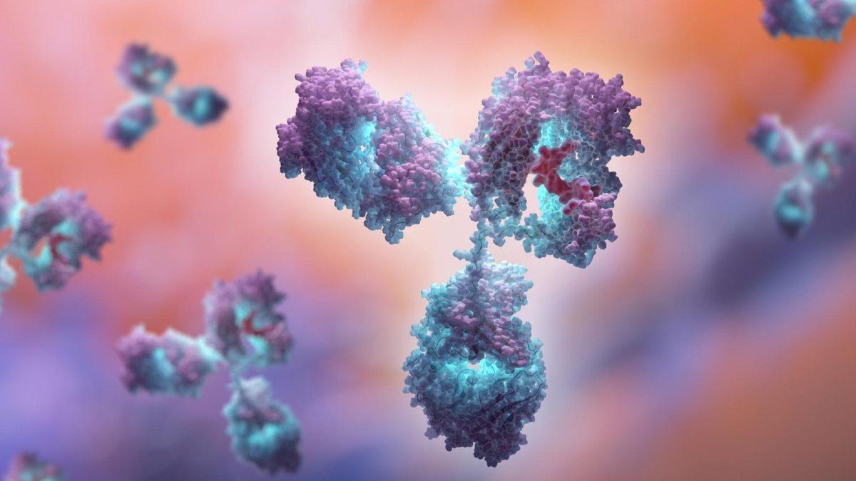 Bilim İnsanları Meme Tümörlerini Çevreleyen Taç Benzeri Yapılar Keşfetti: Kanser Tedavisini Engelleyebilir