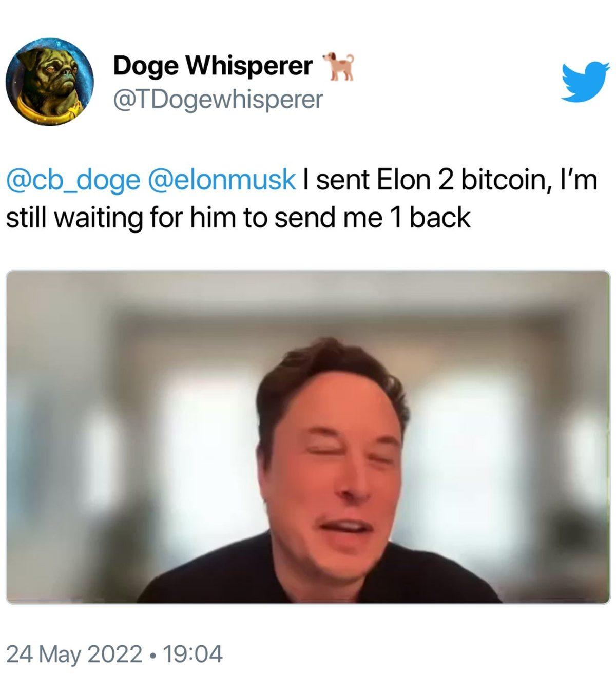 Elon Musk’ın ’Yüzde 30’luk Kazanç Vadettiği’ Sahte Kripto Videosu Sosyal Medyada Viral Haline Geldi