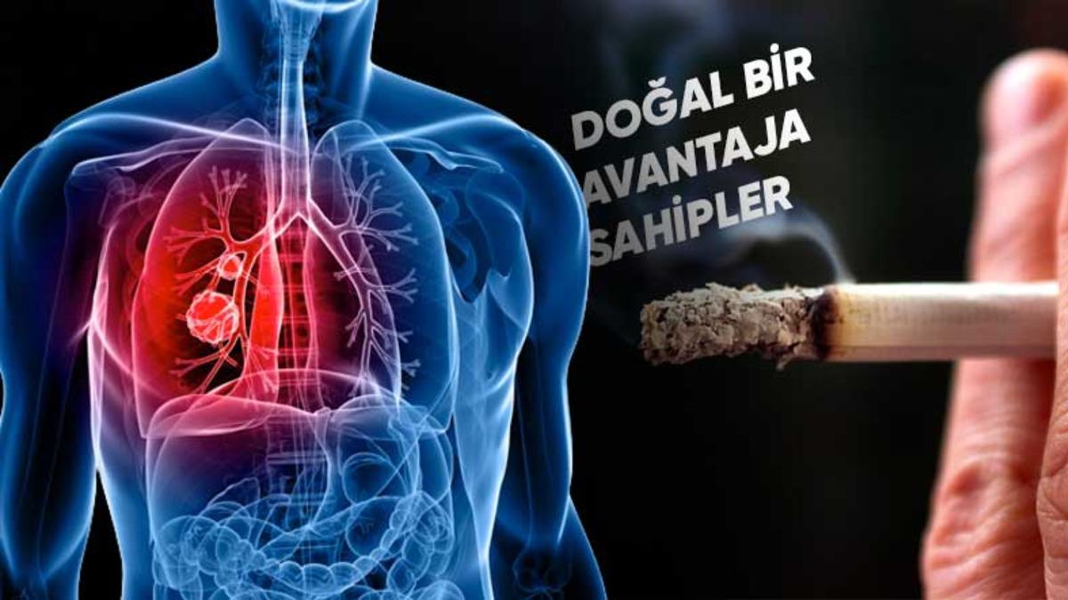Ömür Boyu Sigara İçen Bazı İnsanlar Neden Hiç Kansere Yakalanmıyor? Araştırma Sonuçları Yayınlandı