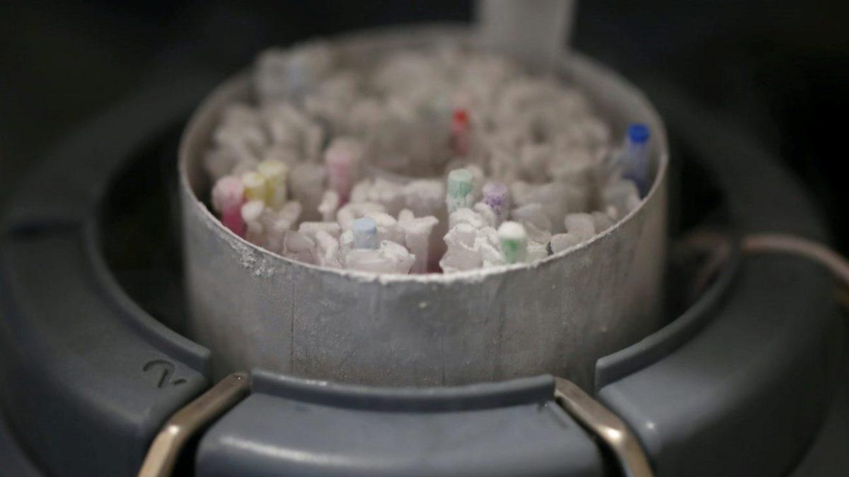 Bilim İnsanları, 6,7 Milyon Türün Spermini Ay’a Göndermek İstiyor