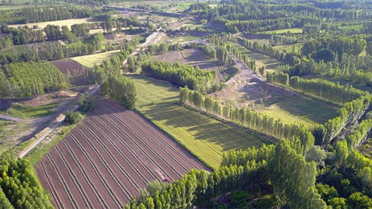Hazine Arazilerinin Satışa Çıkacağı Açıklandı: Vatandaşın Kendi Evini İnşa Etmesine Olanak Sağlanacak