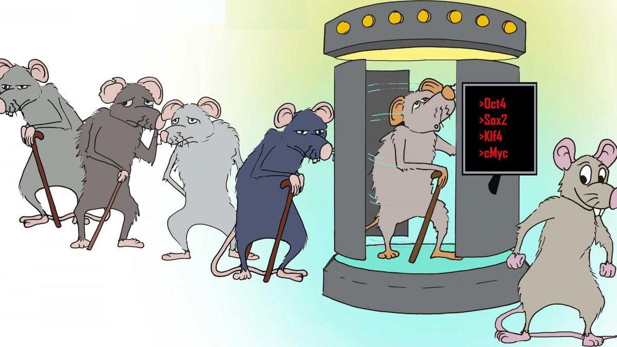 Yaşlanma Korkusunu Tarihe Karıştıracak 9 Bilimsel Keşif