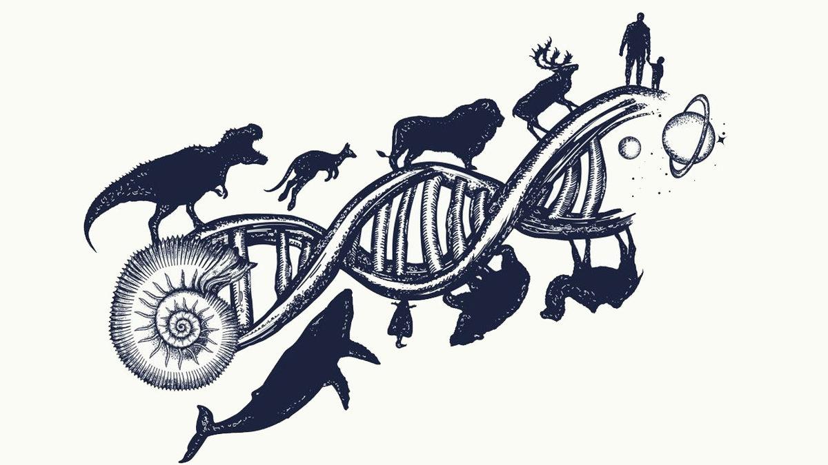 Evrim Hakkında Bilinenleri Yıkan Keşif: Dört Kat Daha Hızlı Gerçekleşiyor Olabilir