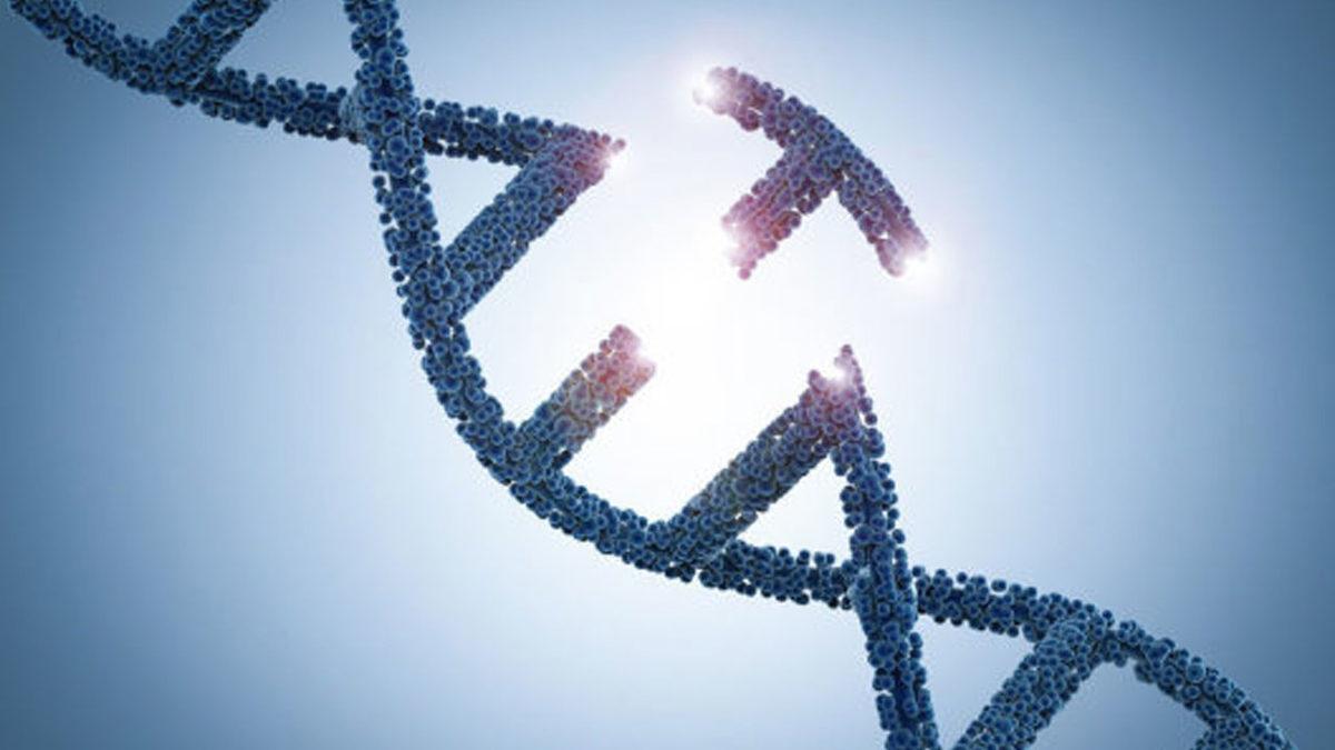 Yaşlanma Korkusunu Tarihe Karıştıracak 9 Bilimsel Keşif