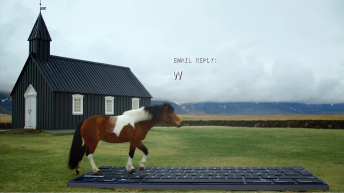 Atlar, E-Posta Yazmak İçin Eğitildi: Siz de Bu E-Postalardan Alabilirsiniz [Video]