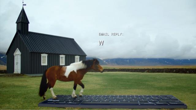 Atlar, E-Posta Yazmak İçin Eğitildi: Siz de Bu E-Postalardan Alabilirsiniz [Video]