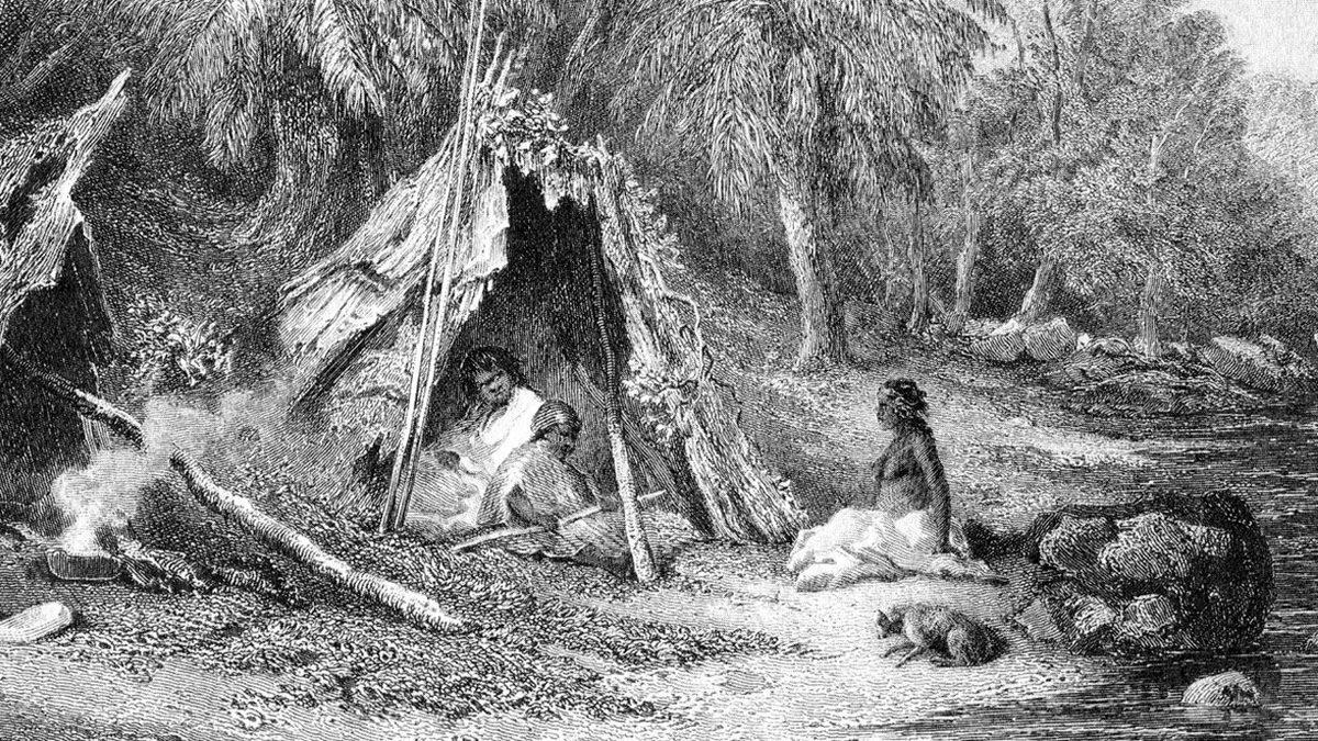 İnsanlar ‘Biyolojik Akraba’ Sayılan Diğer Primatlardan Neden Çok Daha Az Uyur?