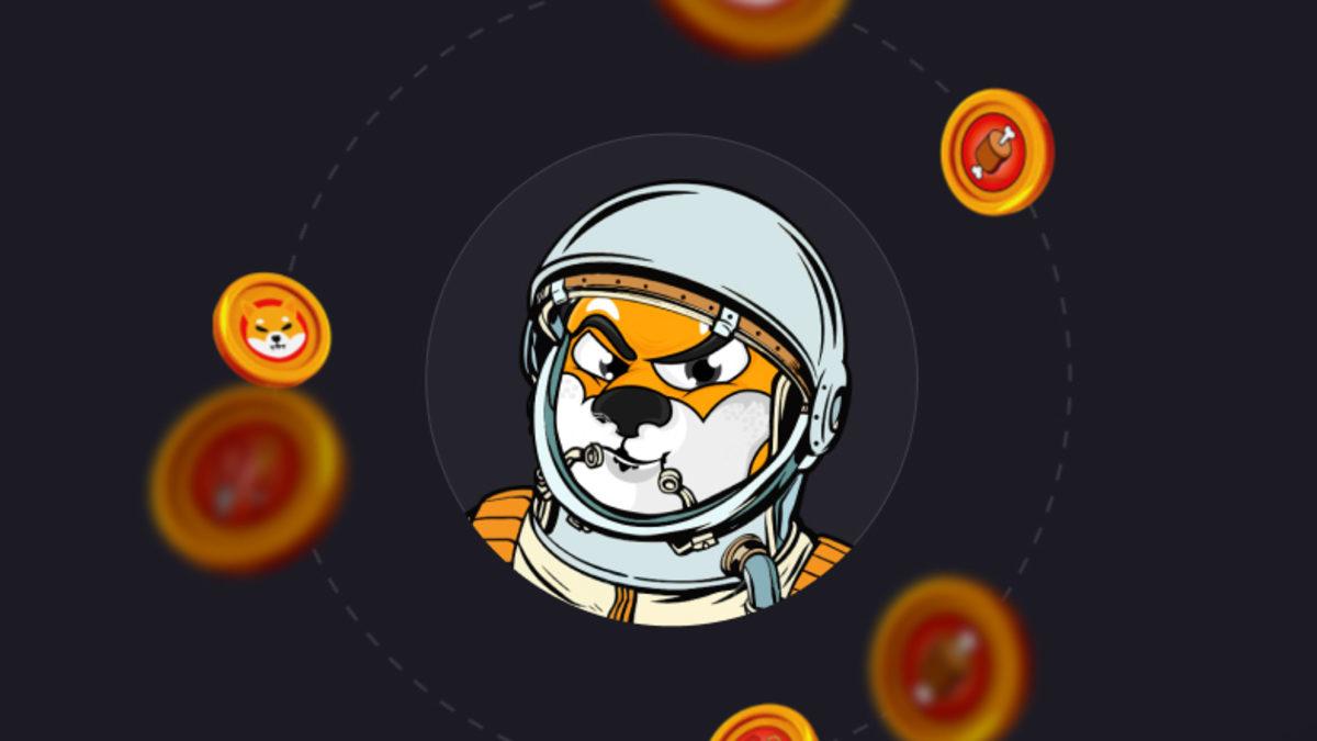 SHIB’in Kurucusu, Projeyi Terk Etti: Peki Shiba Inu’ya Şimdi Ne Olacak?