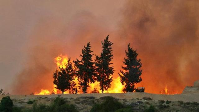 Küçük Sıcaklık Artışlarının Bile Orman Yangınlarını Korkunç Derecede Artırdığı Keşfedildi