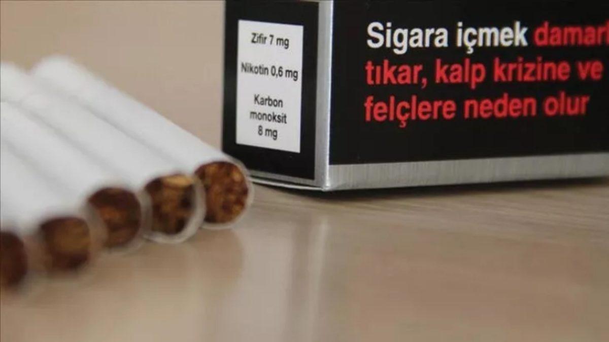 Cumhurbaşkanı Erdoğan: 