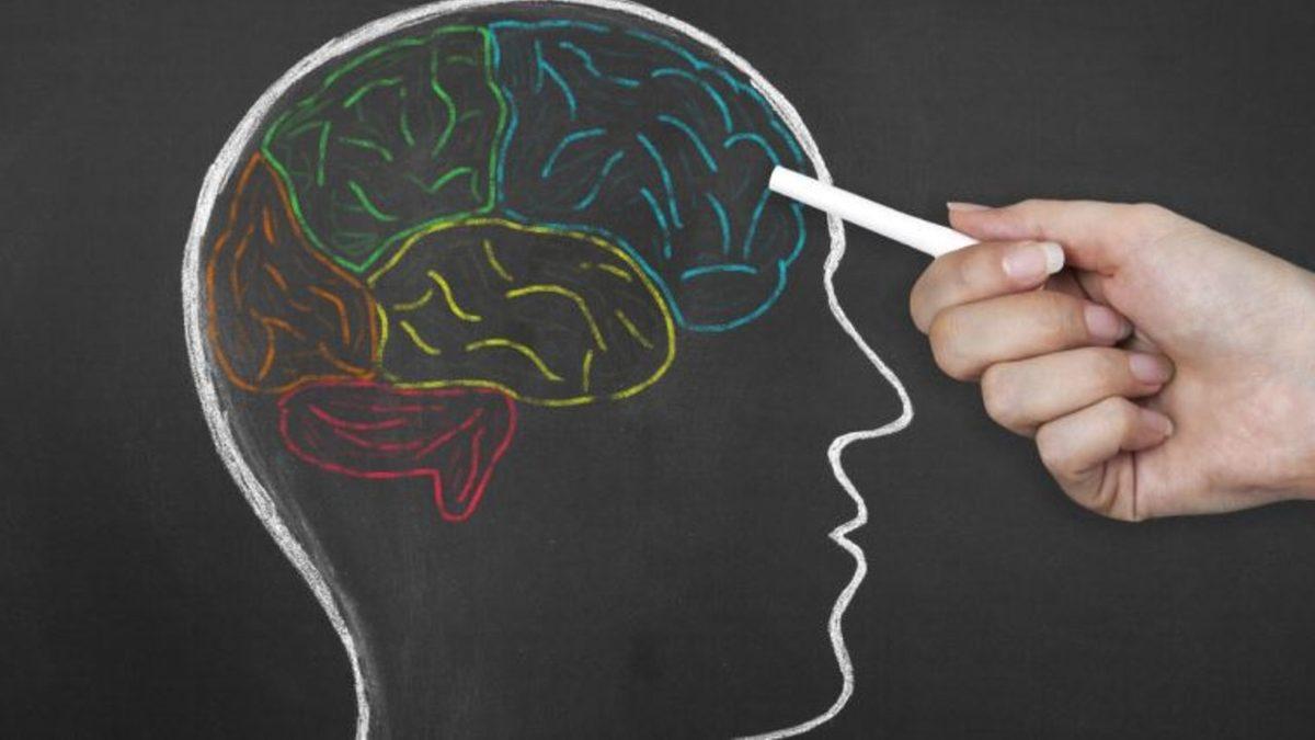 Rüya Gördüğümüz Sırada Beynimizde Neler Olur? Biz Farkında Olmadan Gerçekleşen O Kadar Çok Şey Var ki...