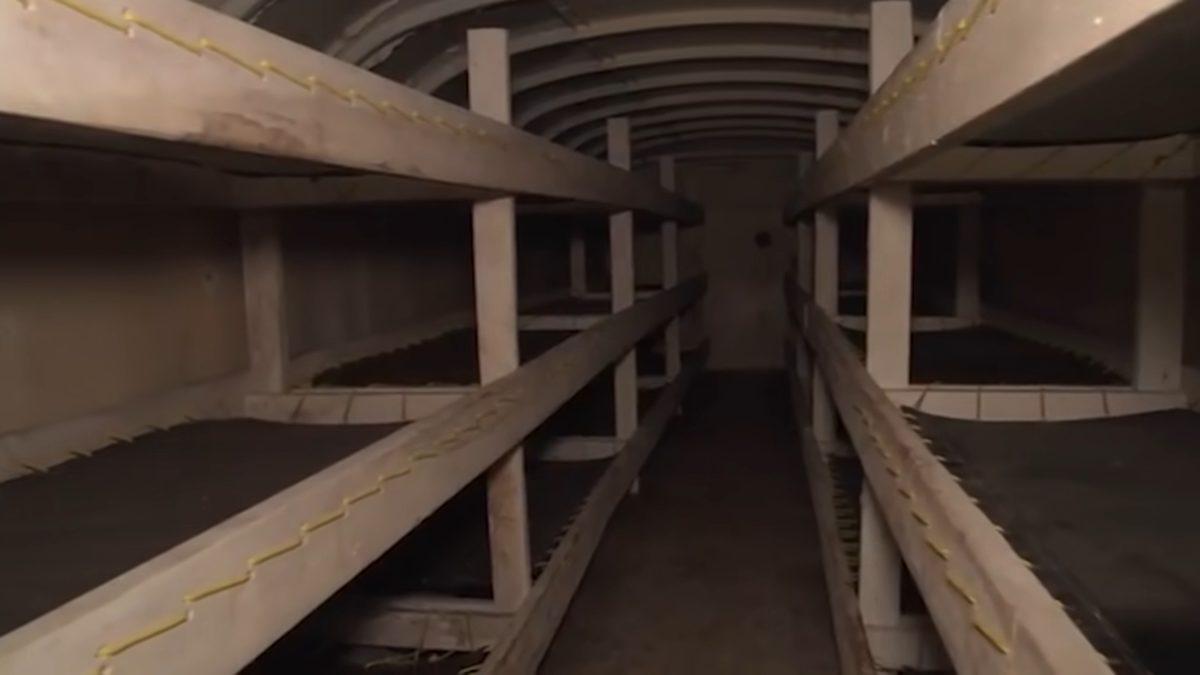 Çılgın Bir Adam 42 Yıl Önce 42 Tane Okul Otobüsü Alıp Toprağa Gömdü: Peki Bunu Yapma Sebebi Neydi?