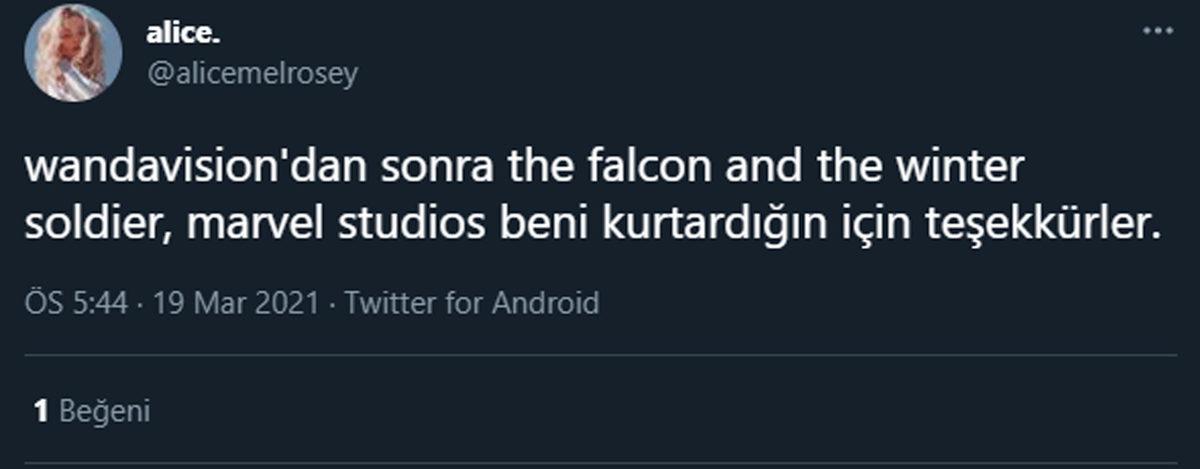 The Falcon and The Winter Soldier Dizisine Sosyal Medyadan Gelen İlk Tepkiler