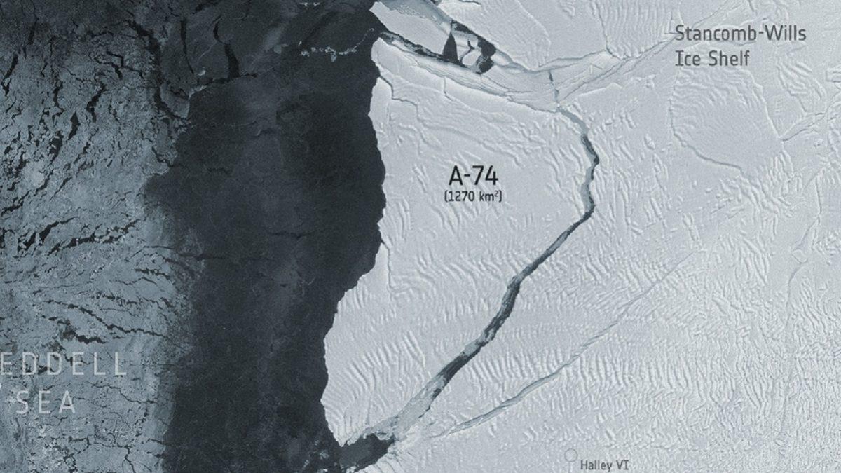 Antarktika’da Dev Buz Kütlesinin Altında Yaşayan Canlı Türleri Keşfedildi