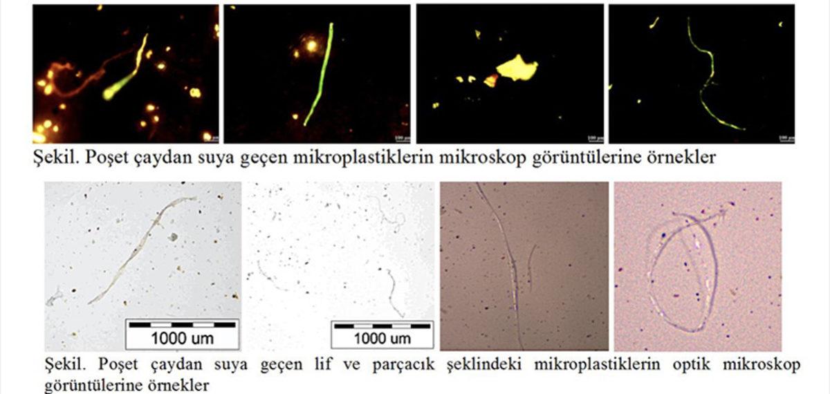 Türkiye’deki Poşet Çaylarda Mikroplastik Tespit Edildi: Her Demlikte 13 Bin Plastik Yutuyoruz!