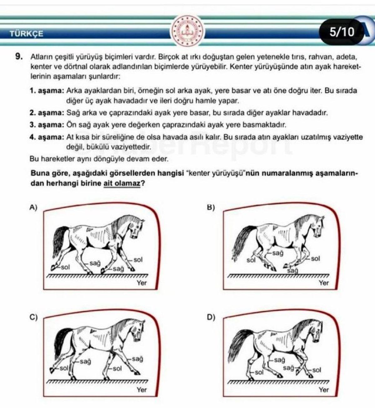 LGS’de Yer Alan ’At’ Sorusu Tartışma Yarattı: Çok mu Basit, Yoksa Çok mu Zor?