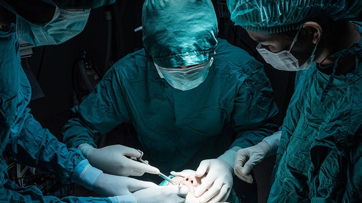 Sebebini Öğrenmeden “Ne Alaka?“ Demeyin: Antarktika’ya Gidecek Doktorlar Yolculuk Öncesinde Apandislerini Neden Aldırıyor?