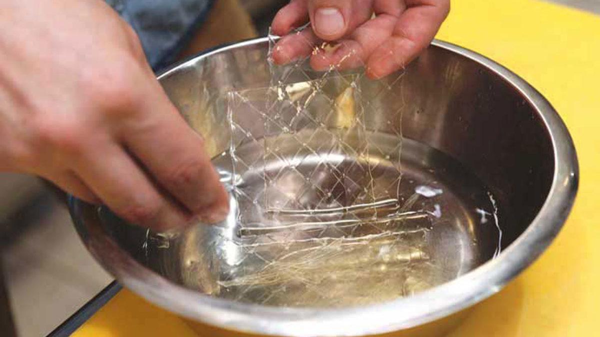 Belki de Her Gün Yediğimiz Sığır Jelatini Nedir, Sağlığa Zararı Var mı?