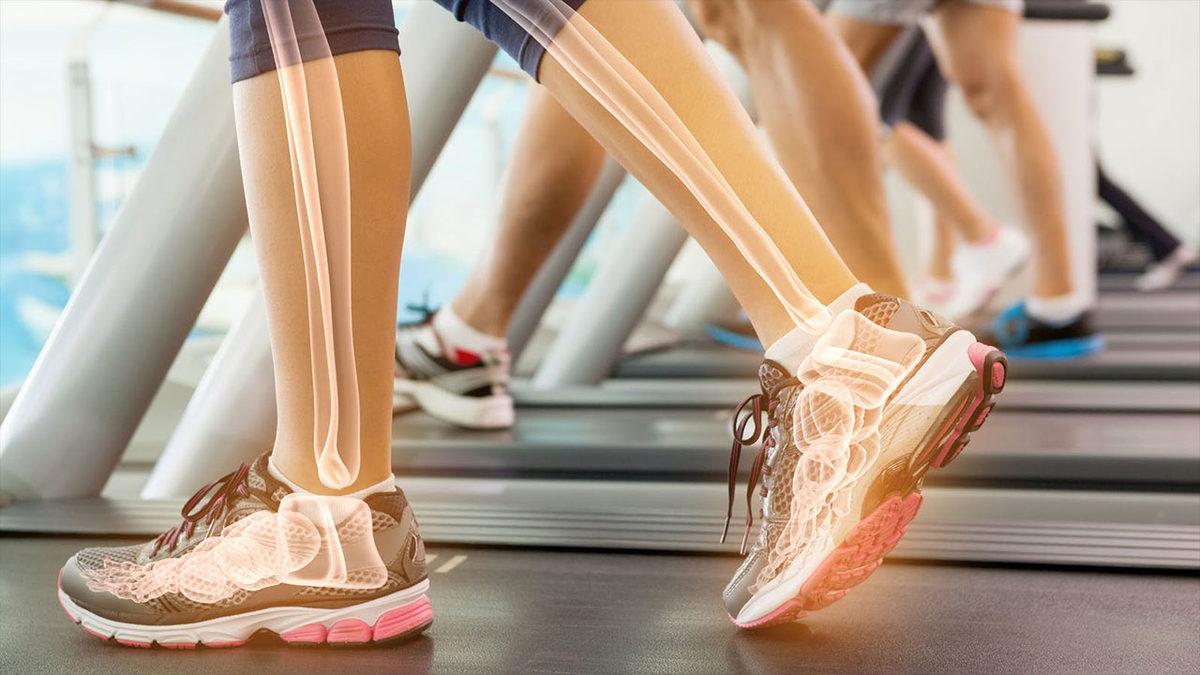 Belki de Her Gün Yediğimiz Sığır Jelatini Nedir, Sağlığa Zararı Var mı?