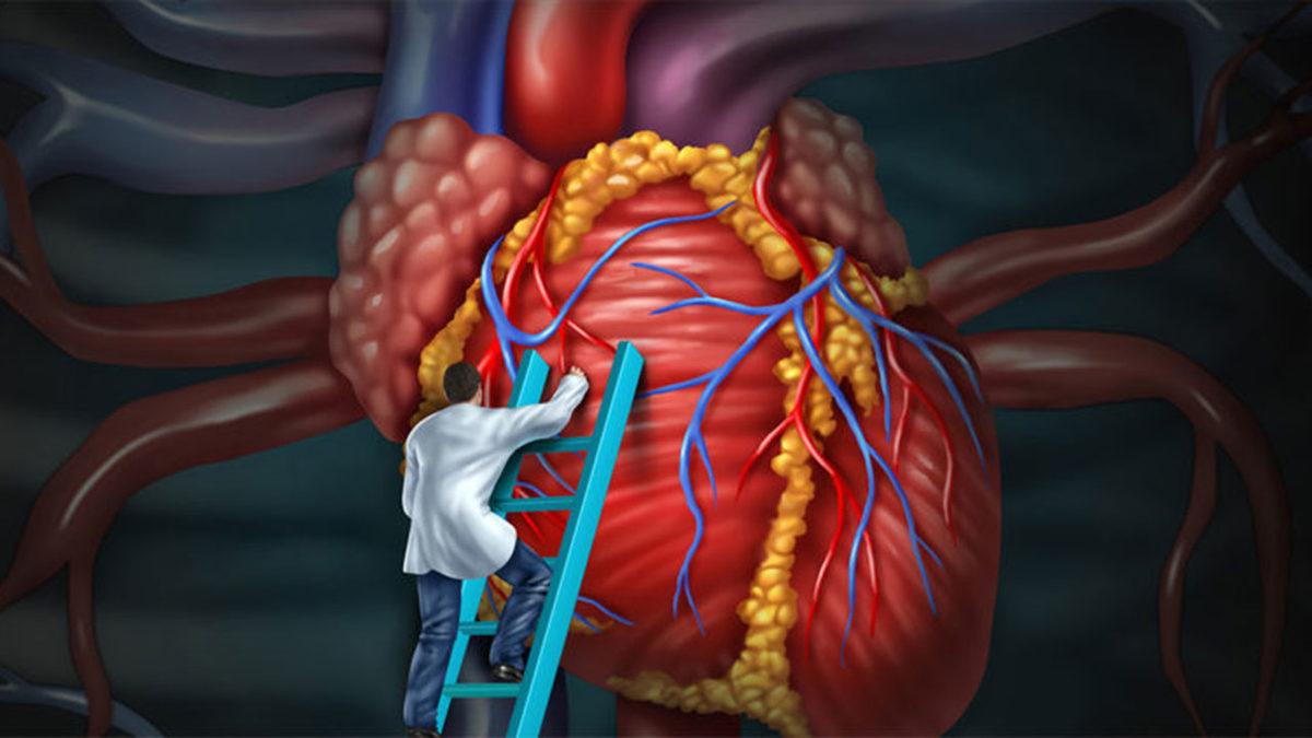 Belki de Her Gün Yediğimiz Sığır Jelatini Nedir, Sağlığa Zararı Var mı?