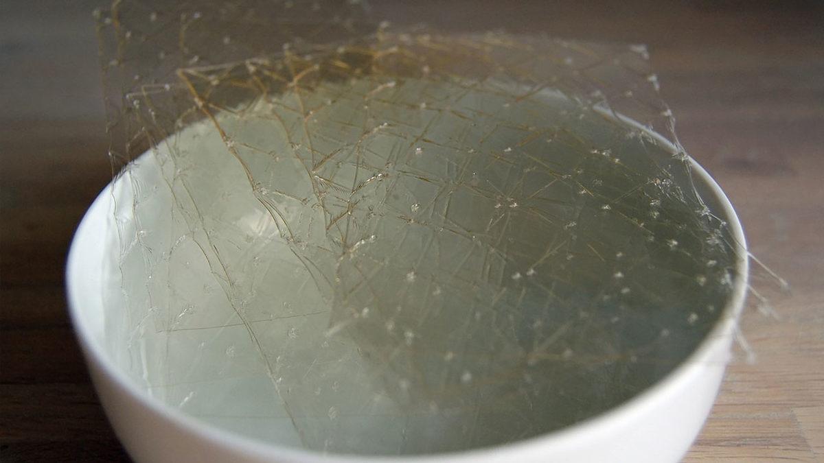 Belki de Her Gün Yediğimiz Sığır Jelatini Nedir, Sağlığa Zararı Var mı?