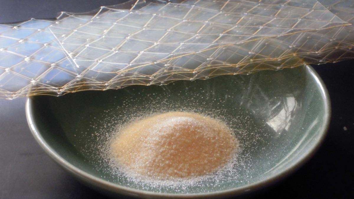 Belki de Her Gün Yediğimiz Sığır Jelatini Nedir, Sağlığa Zararı Var mı?