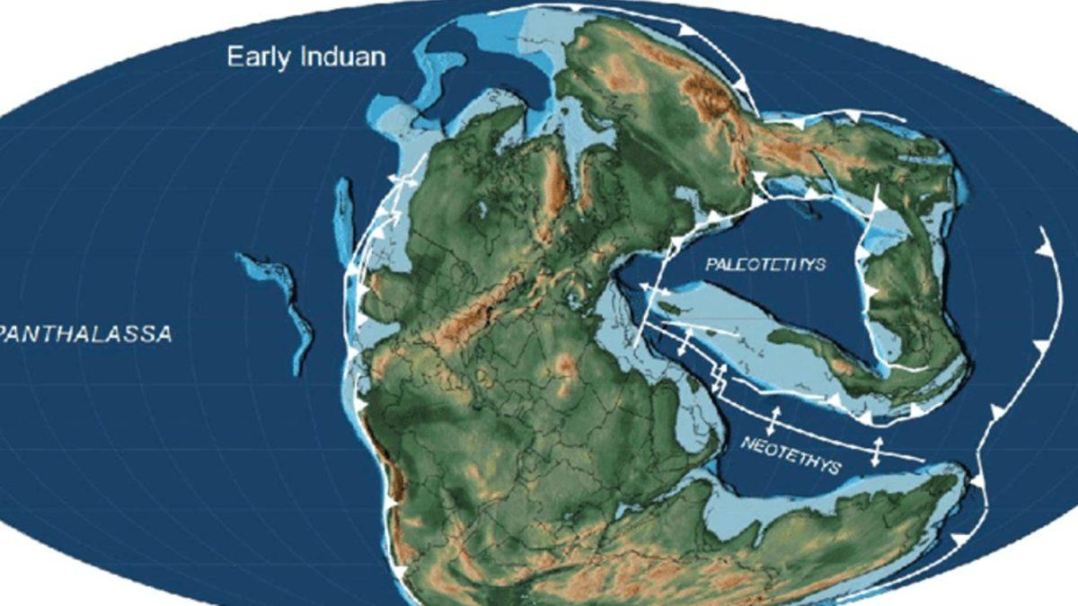 Ülkemizdeki Arkeolojik Kazılarda Neden Hiç Dinozor Fosili Bulunamıyor?