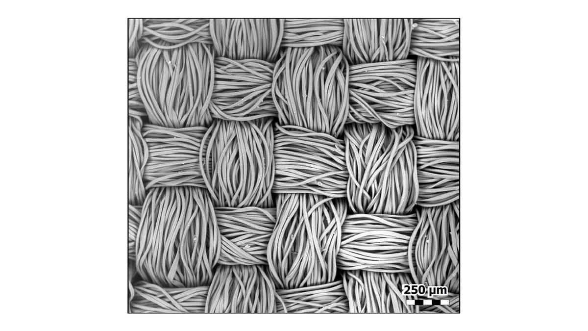 Bez Yüz Maskeleri Mikroskop Altında Nasıl Görünüyor?